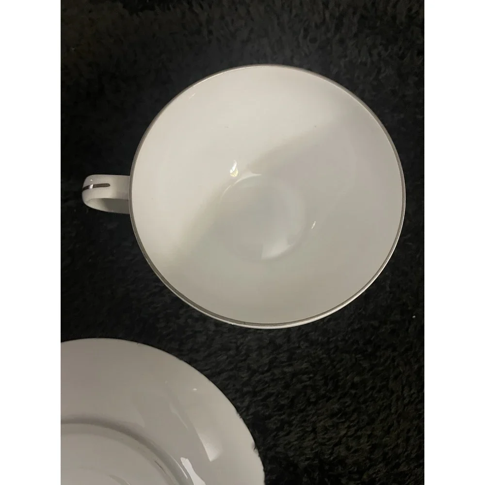 Fukagawa China Arita Silver Bamboo # 714 Cup and Saucer